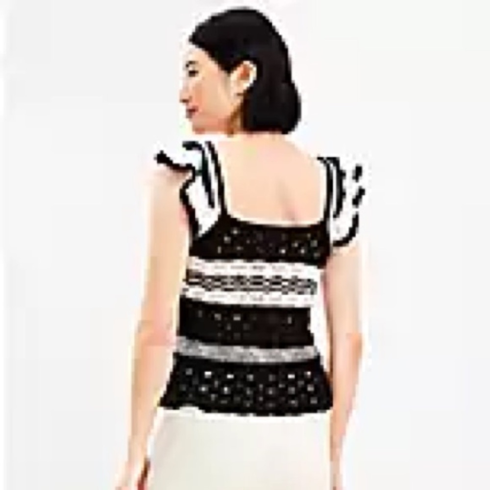 Loft Striped Crochet Ruffle Sweater Tank Top - Picture 2 of 7